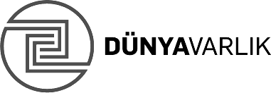DunyaVarlik Logo